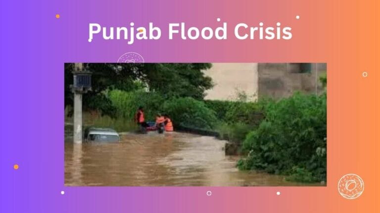 Punjab Flood Crisis