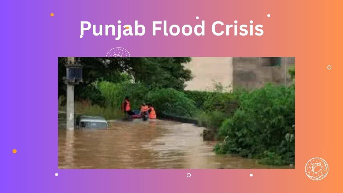 Punjab Flood Crisis