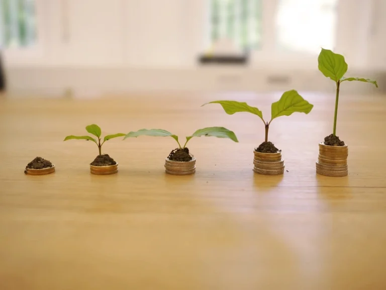 growth_of_plant _representing_growth_of_debt