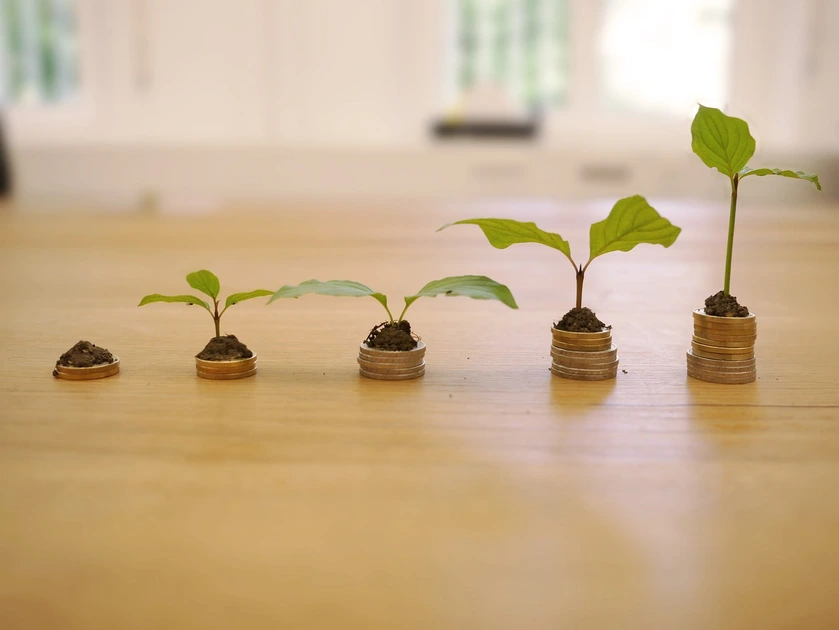 growth_of_plant _representing_growth_of_debt